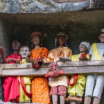 toraja-bajawa